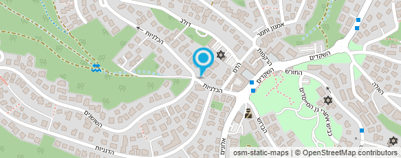 מפת הגעה אל ד"ר קאופמן בזיל מנתח מפת הגעה אל ד"ר קאופמן בזיל מנתח