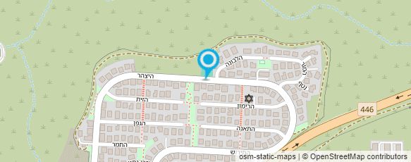 מפת הגעה אל שלדן סופי עיסוי רפואי