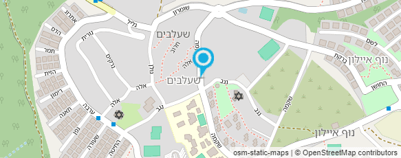 מפת הגעה אל אילנה ויילר