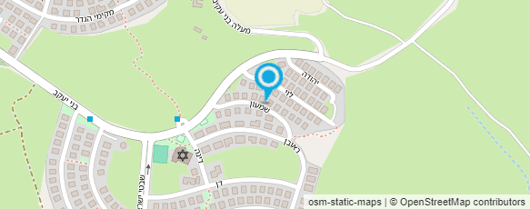 מפת הגעה אל דינה שוסהיים אימון לנשים