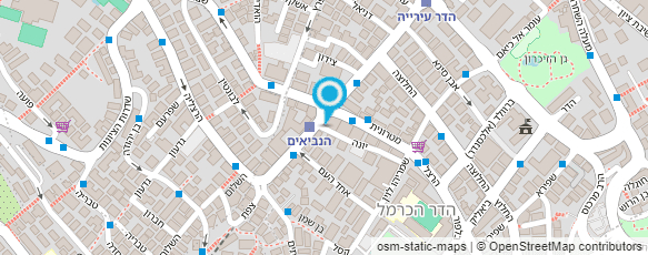 מפת הגעה אל Olga Kats