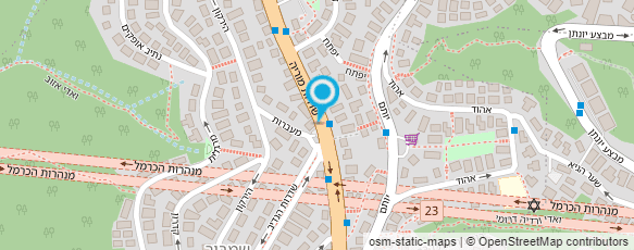 מפת הגעה אל פרופ' וולשטיין רונית