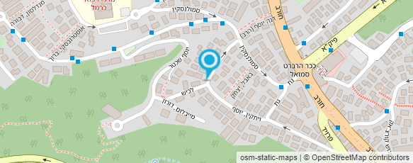 מפת הגעה אל כרמל רונן אילון