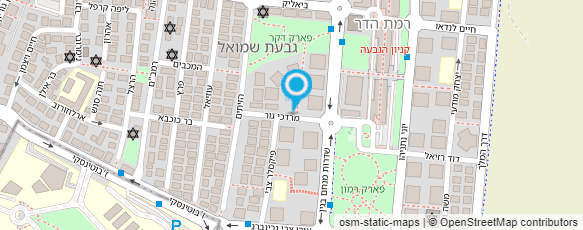 מפת הגעה אל אלישבע נגינסקי