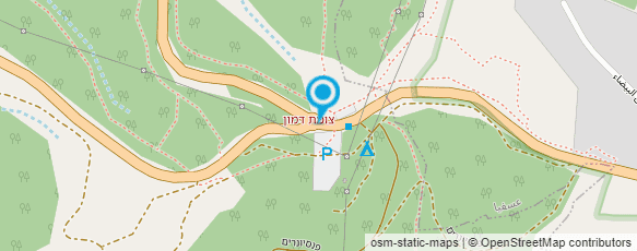 מפת הגעה אל הפנסיון של תומר