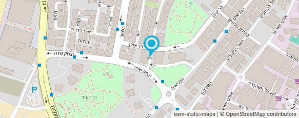 מפת הגעה אל Nina Shrayner PM מפת הגעה אל Nina Shrayner PM