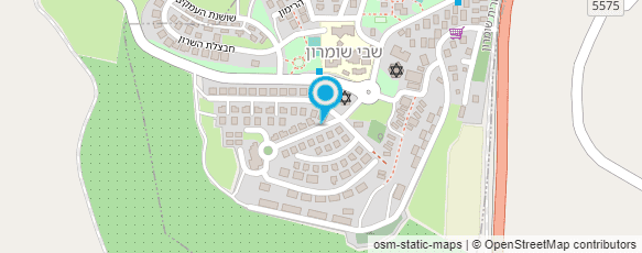 מפת הגעה אל טליה גרוסמן