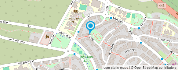 מפת הגעה אל עו"ד ילנה דר