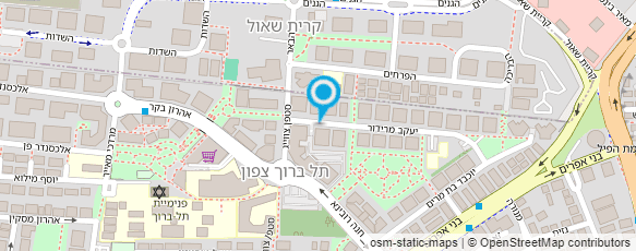 מפת הגעה אל עו"ד גרינברג נודלמן אילנה