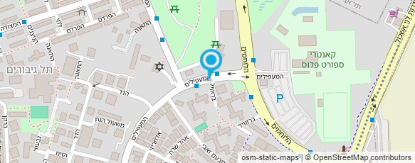 מפת הגעה אל עו"ד לדרמן חיים