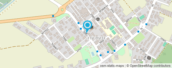 מפת הגעה אל מרכולית כהן