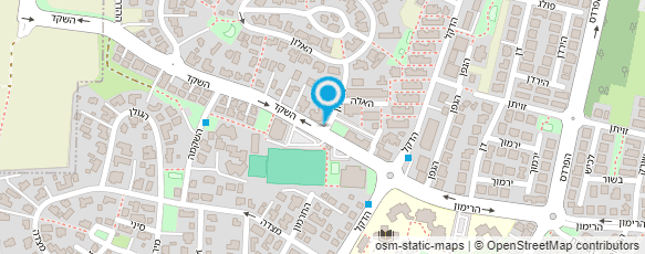 מפת הגעה אל ממלכה קסומה ומפנקת לבנות B.F.F