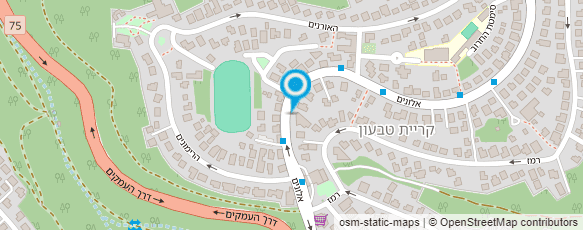 מפת הגעה אל ירוק בלב