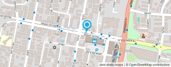 מפת הגעה אל אלכסנדר דיינר מקומי