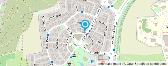 מפת הגעה אל מיכה בן-בסט ביצוע פרוייקטים
