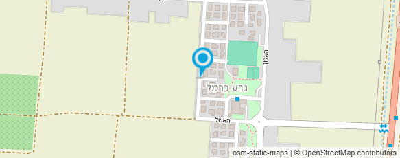 מפת הגעה אל שרון פרנג'י נטורופתית