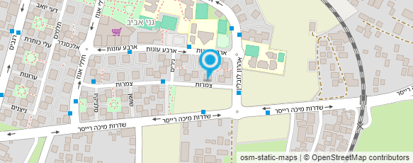 מפת הגעה אל אלכס סאידוב - מעסה רפואי הוליסטי