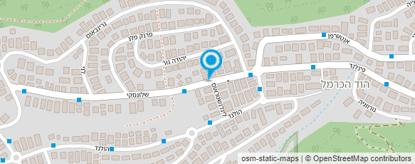 מפת הגעה אל מרק פלדמן