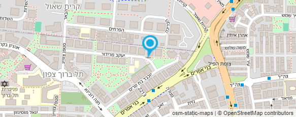 מפת הגעה אל שולמית מייזלר קוסמטיקאית