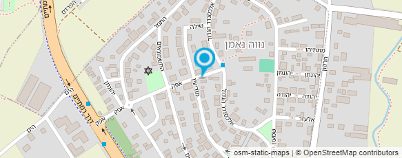 מפת הגעה אל עכשיו את- רפלקסולוגיה להריון