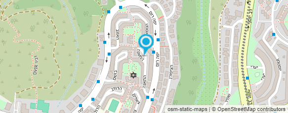 מפת הגעה אל הדר עייש פלמנקו