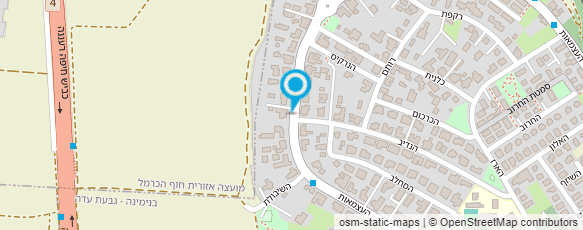 מפת הגעה אל מימיקה עיצוב בעץ