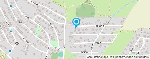 מפת הגעה אל דידי קפלן סקרי עץ