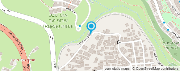 מפת הגעה אל זניט ZENIT  - מצלמות