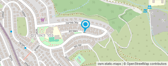 מפת הגעה אל ריקי לויה