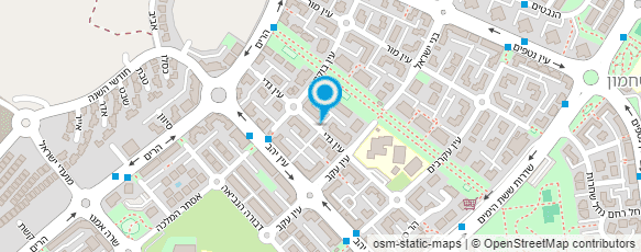 מפת הגעה אל דליה עיצוב גבות