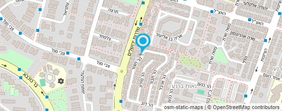 מפת הגעה אל צהרונצ'וק הצהרון של ריקי