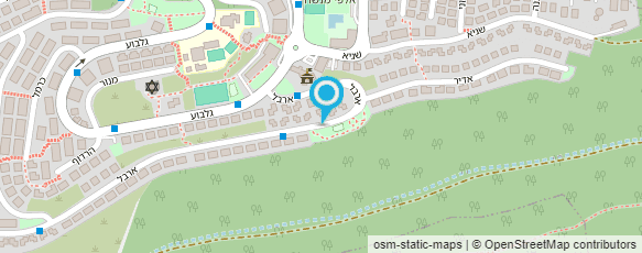 מפת הגעה אל נלי גוטמן