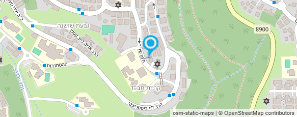 מפת הגעה אל שמואל דנה - צייר