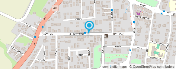 מפת הגעה אל ברדק