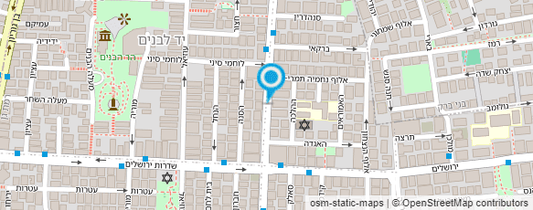 מפת הגעה אל ציירת - Yael Yael Art