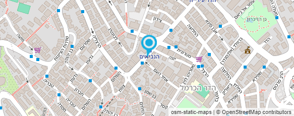 מפת הגעה אל שדולת גמלאים חיפה