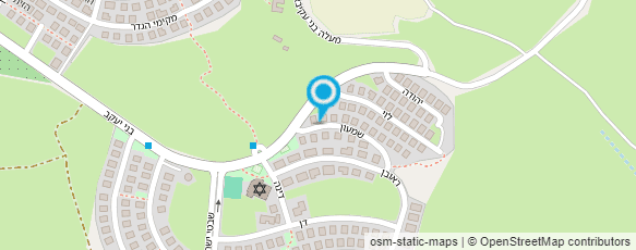 מפת הגעה אל שירה דמתי ייעוץ סטיילינג