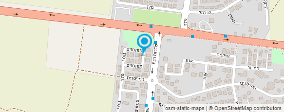 מפת הגעה אל מיכל פריאנט לוי עיסוי רפואי