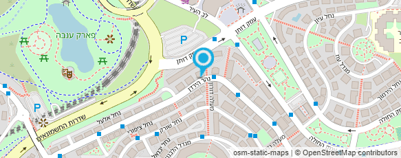 מפת הגעה אל RAF - פתרונות ארגוניים