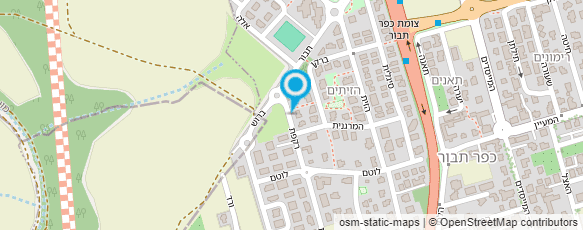 מפת הגעה אל תמר הורוביץ לבנון-טיפול ואבחון פסיכולוגי