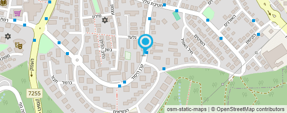 מפת הגעה אל בירג'יט - עוגיות מיוחדות