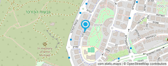 מפת הגעה אל אלה בר-נור ליווי התפתחותי לתינוקות וילדים