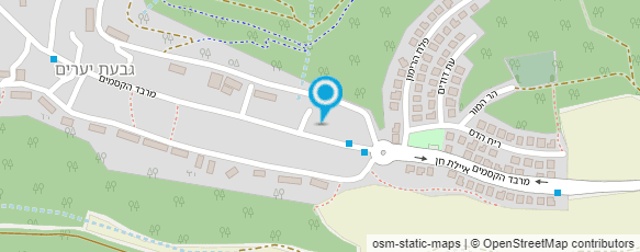 מפת הגעה אל שיאצו דבי נידלמן קאופמן