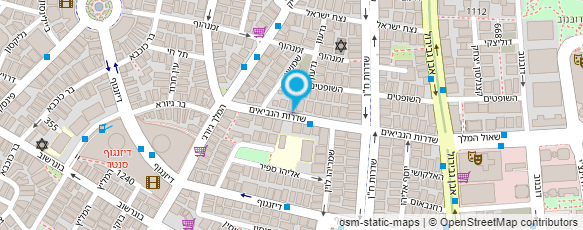 מפת הגעה אל דנה דויד