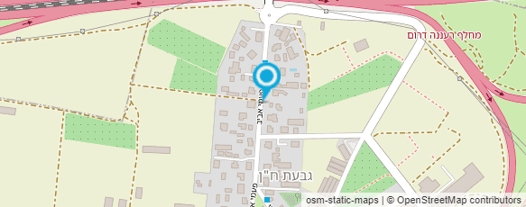 מפת הגעה אל קארנינה - אמנית