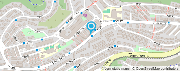 מפת הגעה אל איריס לב מאמנת הורים