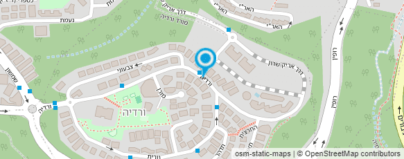 מפת הגעה אל גלית היימן-איבחונים דידקטים