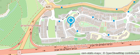 מפת הגעה אל עדינה לסקובסקי