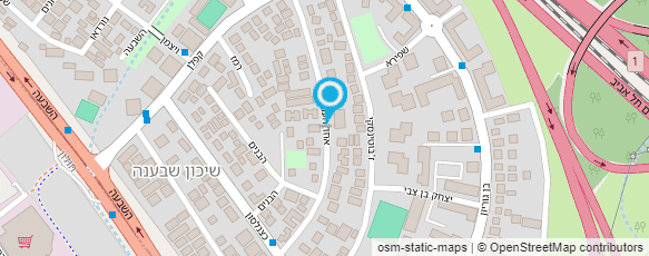 מפת הגעה אל תמיר שירותי מיחשוב