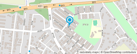 מפת הגעה אל עדי - מוח אחד בשילוב קינסיולוגיה